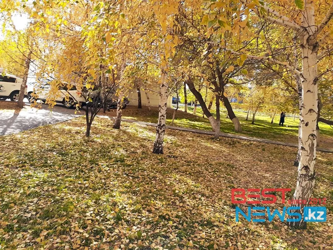 Осадки и потепление: погода по Казахстану на 24-26 октября 