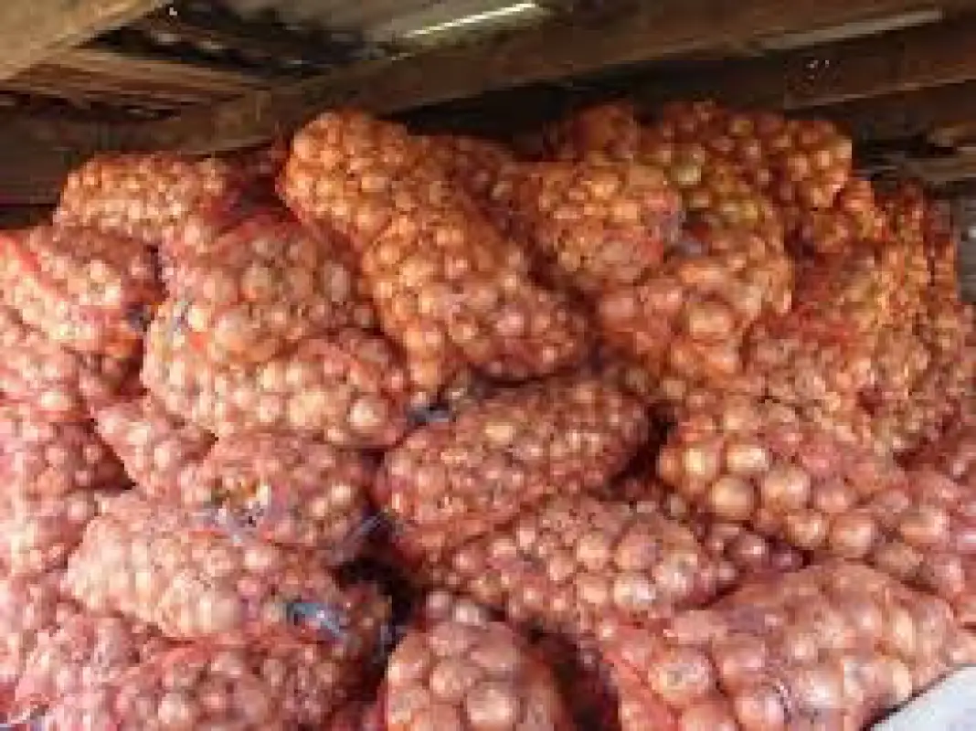 Минторговли Казахстана организует закуп плодоовощной продукции в соседних странах