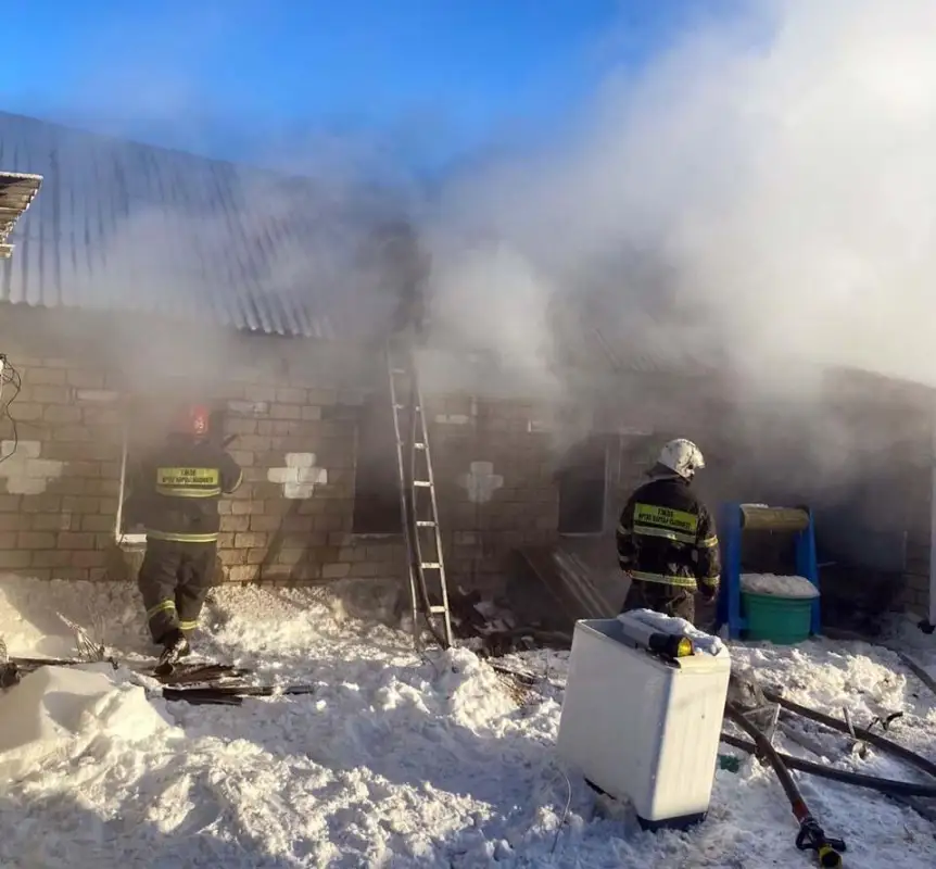 В Иртышске пожарные спасли троих детей, двое скончались в больнице