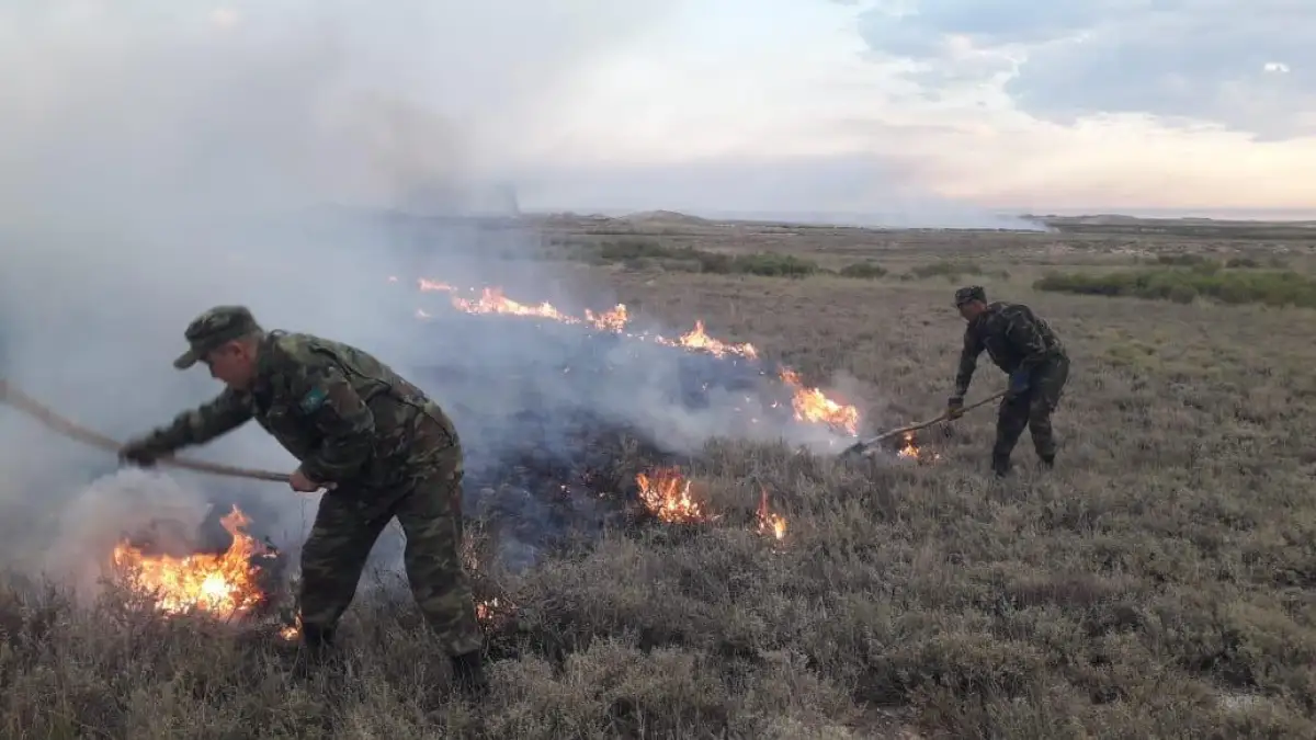 Горящие выходные: два человека погибло, пало 210 голов скота в Карагандинской области