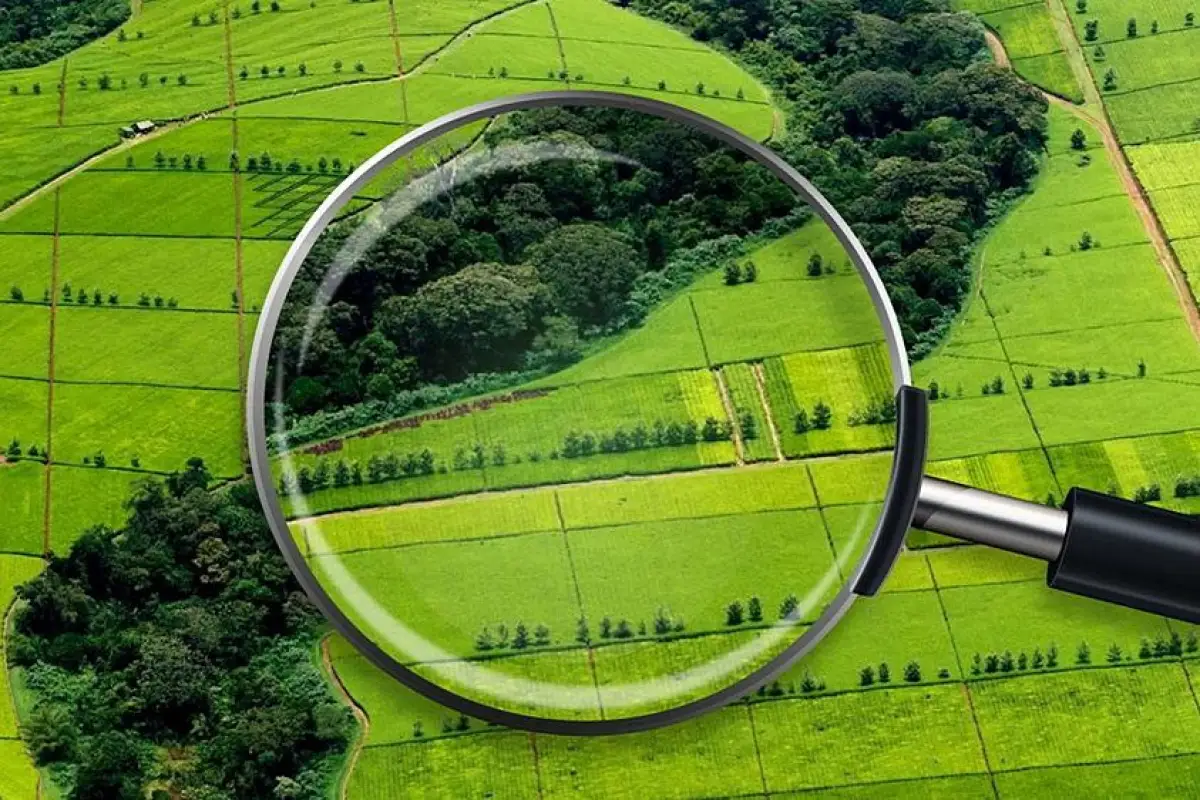 В Акмолинской области вернули под туризм земельный участок, пустовавший 5 лет