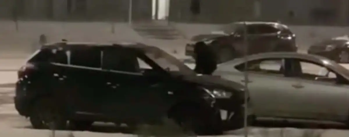Видео: неадекватный мужчина распинал чужие авто в Нур-Султане