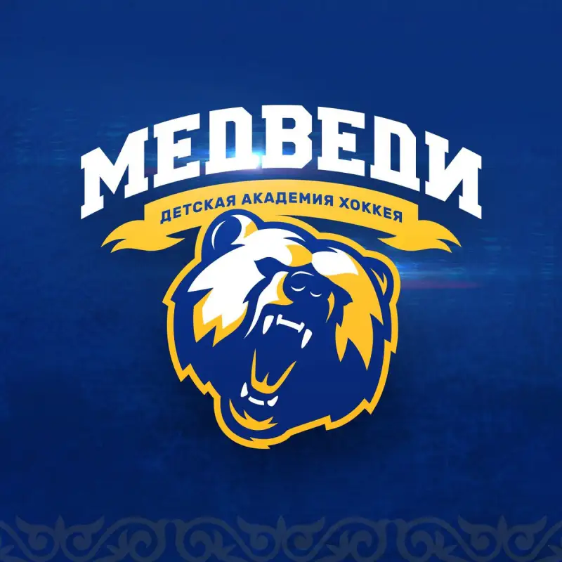 В Мажилисе вступились за детей, чьи родители пожаловались на подорожавший хоккей в Алматы 