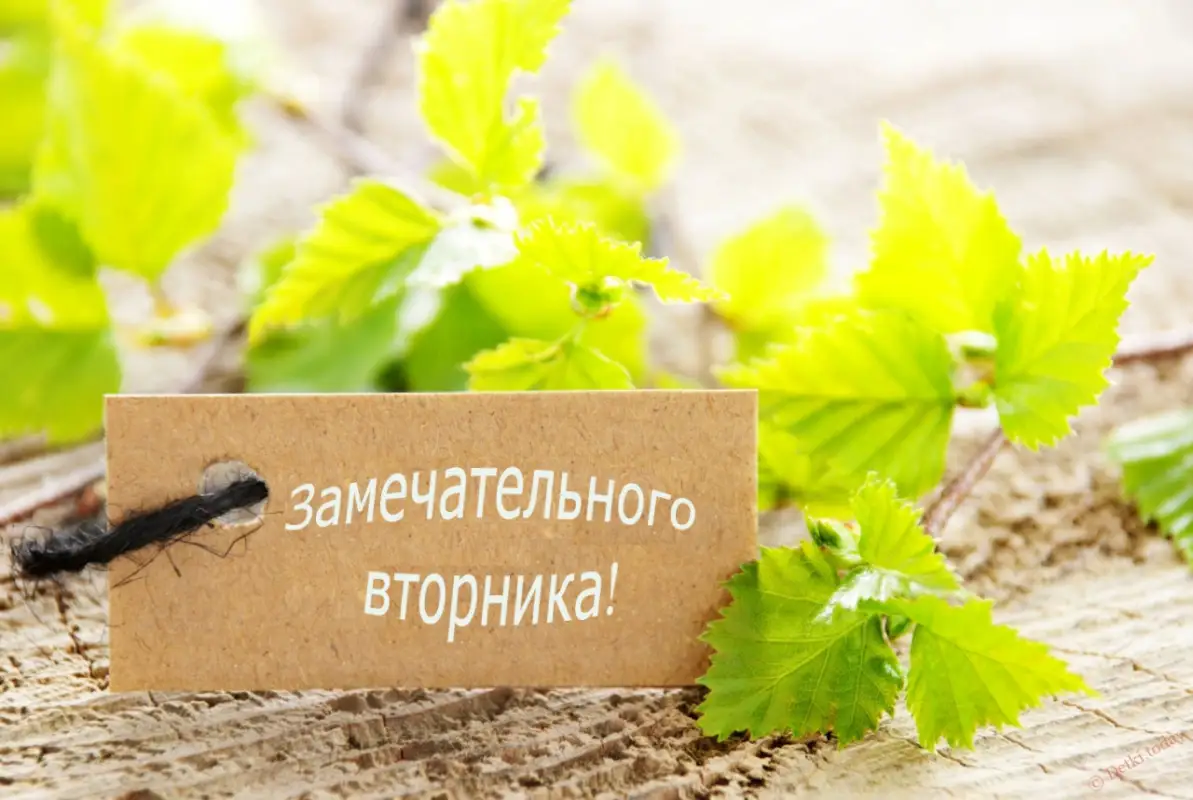 Bestnews.kz желает удачного вторника!