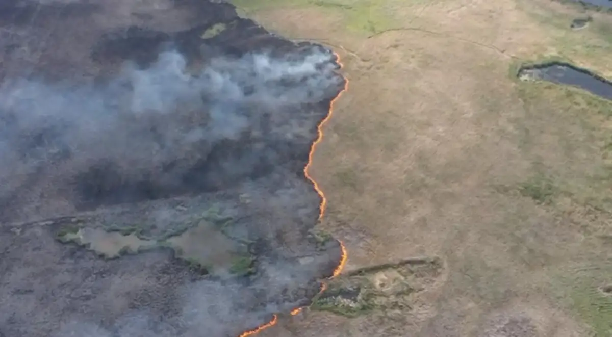 В МЧС назвали причину 2-дневного пожара близ Нур-Султана