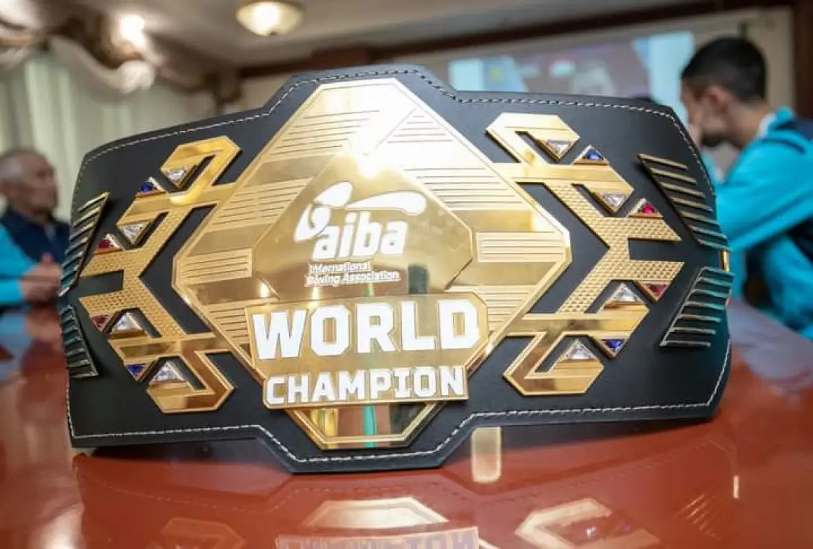 В Минкультуры и спорта Казахстана премировали боксёров за медали с ЧМ