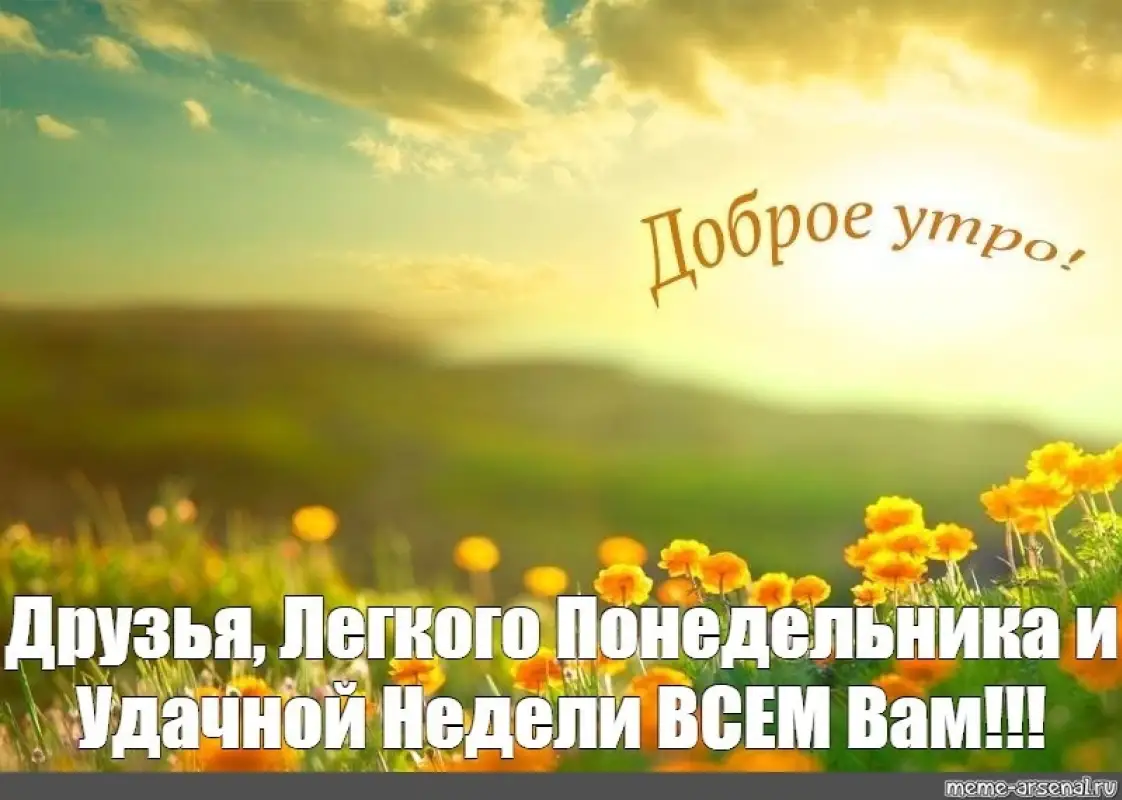Желаем вам мягкого понедельника!