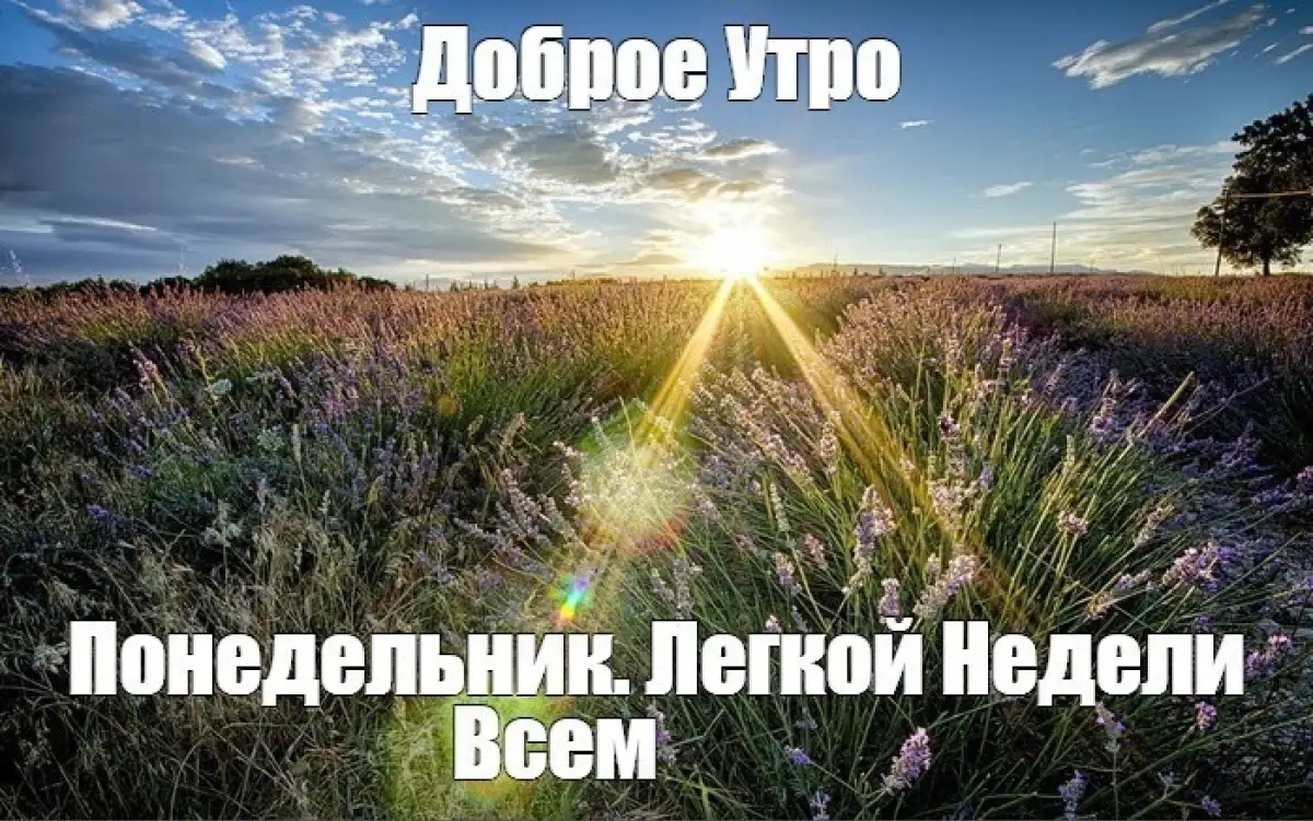 Bestnews.kz желает мягкого понедельника и бодрого самочуствия!