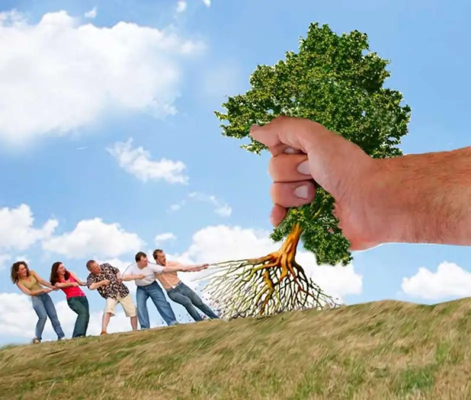 В Казахстане ужесточат Уголовный кодекс за вырубку деревьев