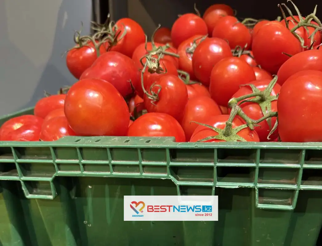 Казахстан ждет поставок овощей из трех стран