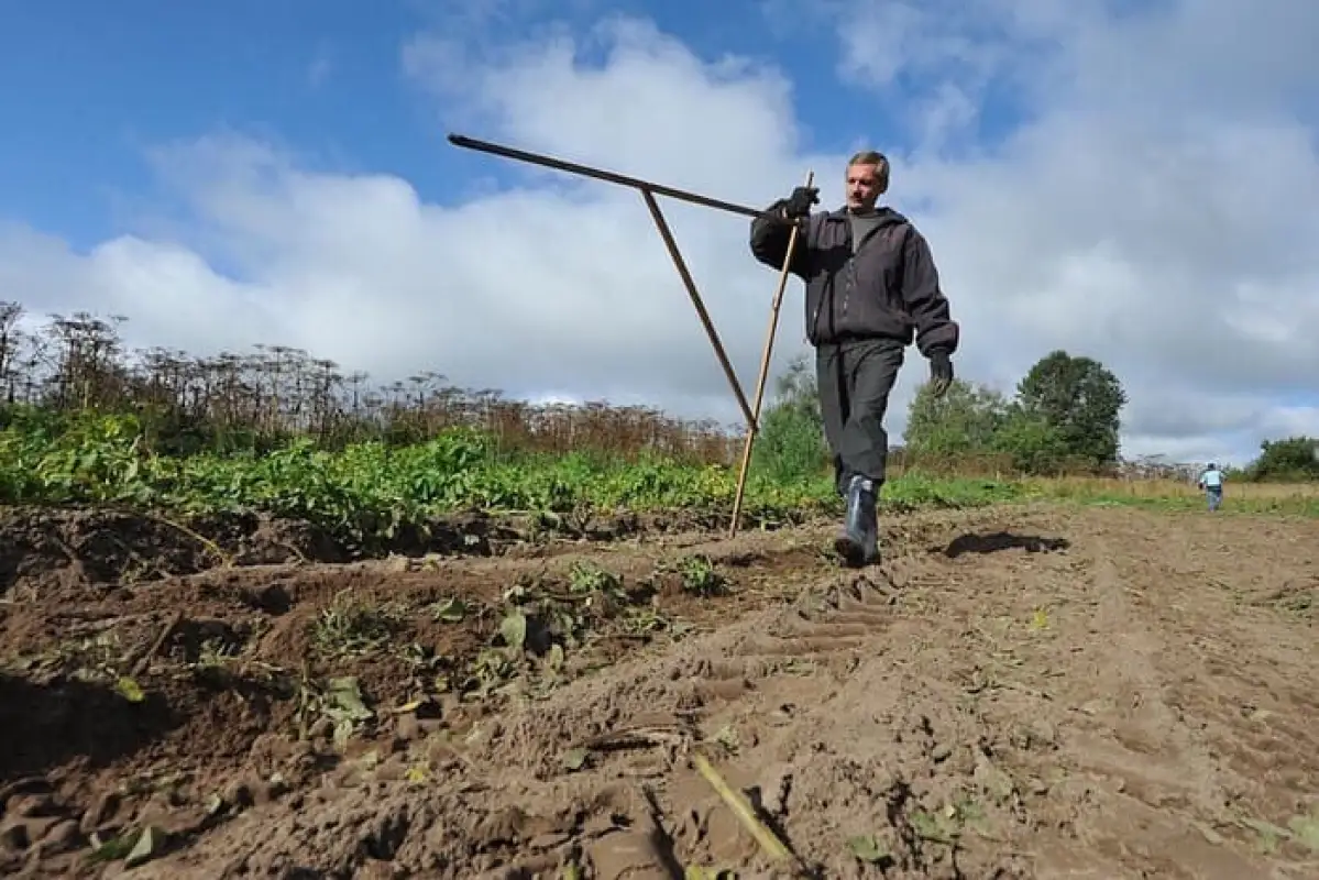 В области Жетісу вернули государству землю на 100 млн тенге