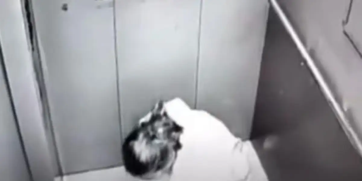 Справила нужду в лифте: суд вынес приговор в Нур-Султане