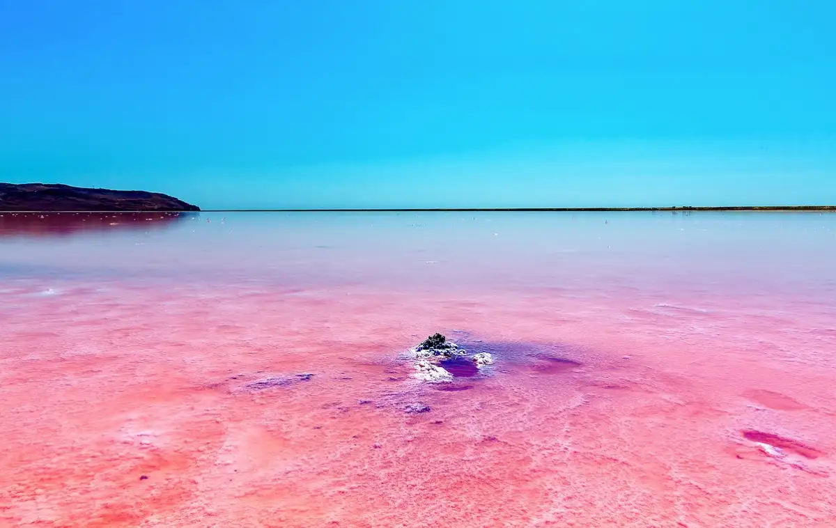 «Розовое» озеро Кобейтуз назвали вредным для людей - Мирзагалиев