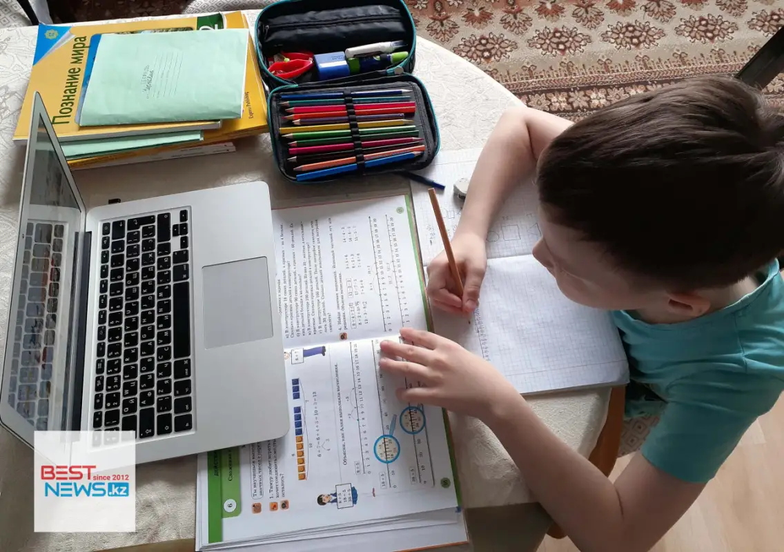 "Достали...": второй день подряд чиновники будут убеждать казахстанцев о пользе дистанционного образования в школах