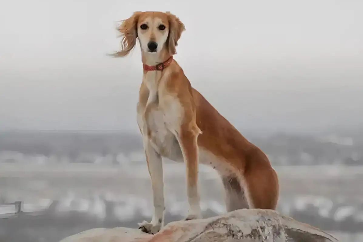 Новый праздник утвердили в Казахстане