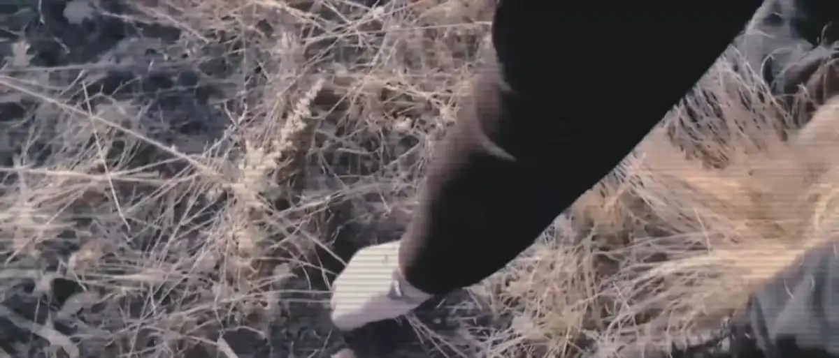 Полиция выявила свыше 500 закладок наркотиков в Атырау, Уральске и Аксае