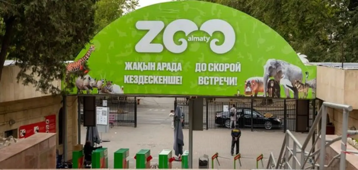 В зоопарке Алматы умер медведь: животное купили больным