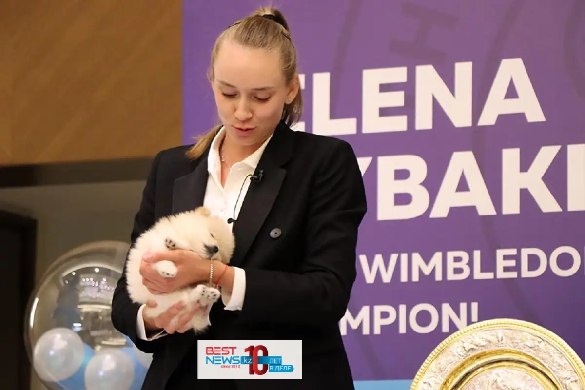 "Я - гражданка Казахстана": Рыбакина показала паспорт, ответила хейтерам и убаюкала щенка