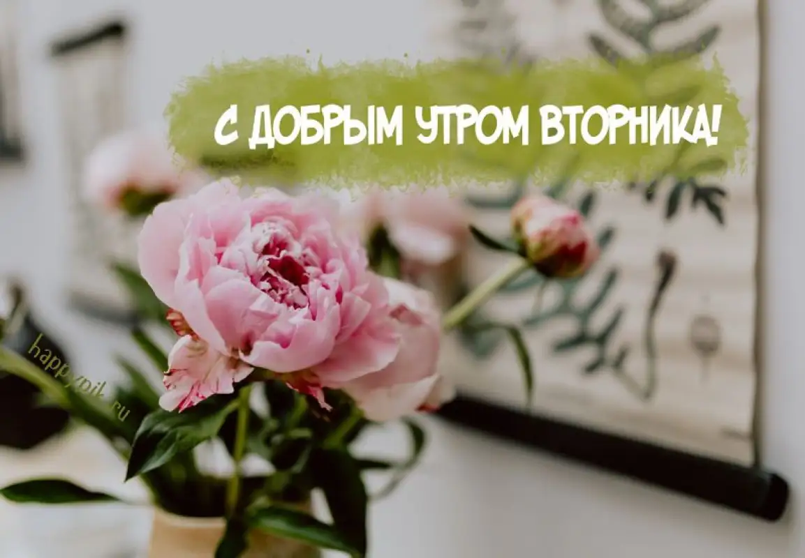 С бодрым утром вторника!