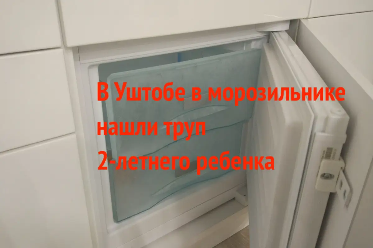 Труп малыша в морозилке: в Уштобе мать подозревают в убийстве сына