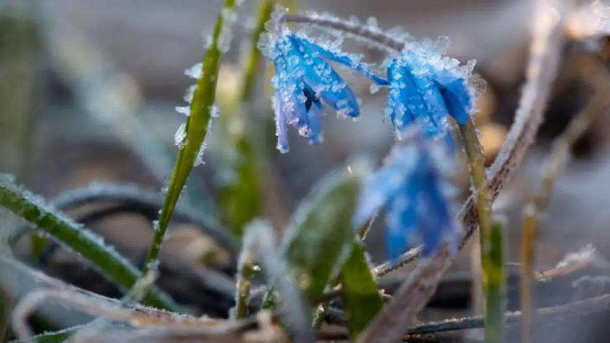 Заморозки, дожди и грозы: погода по Казахстану на 6 мая