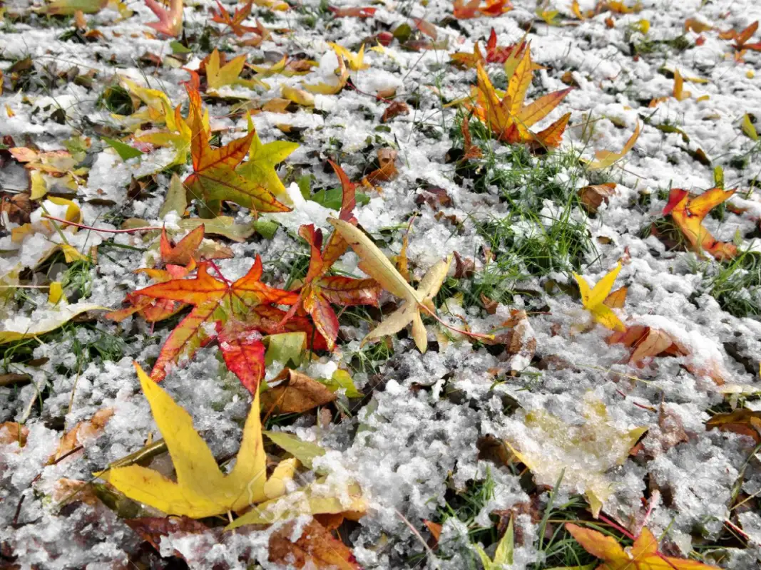 Гололед и метель на выходные ожидаются в Казахстане