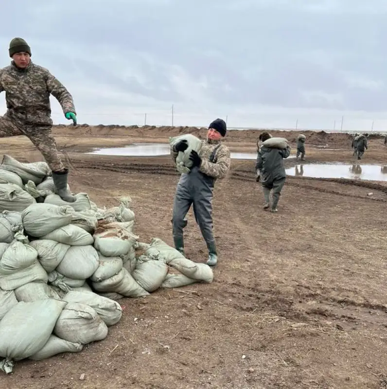 В Шетском районе во время паводков утонули коровы и лошади