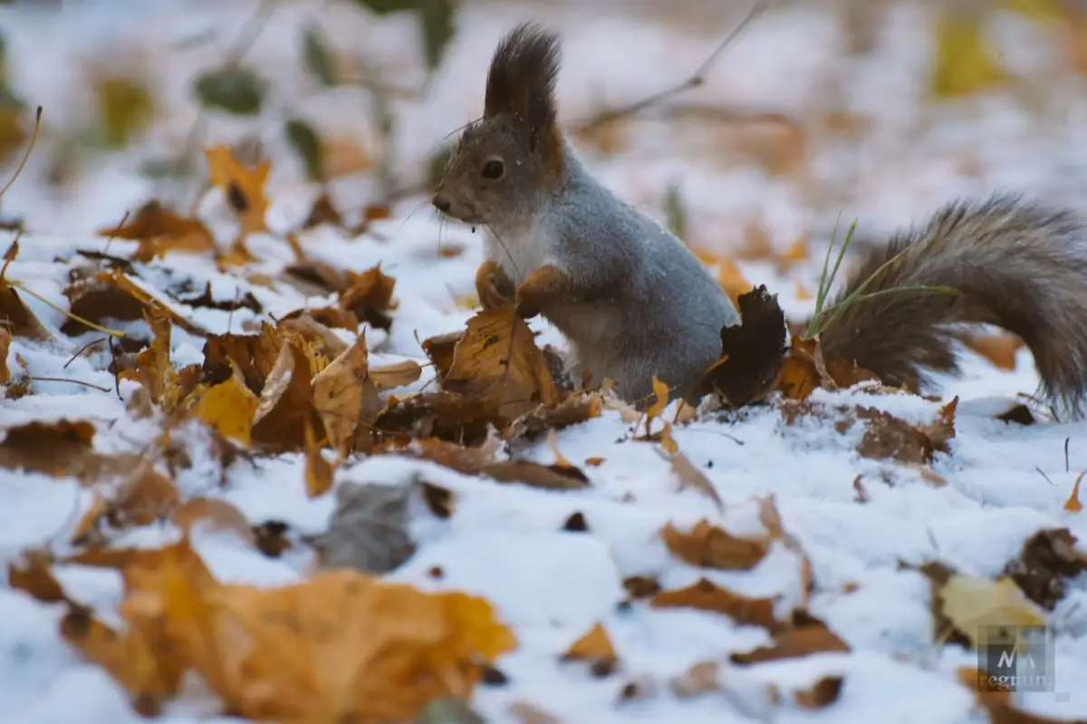 На севере возможен снег: погода по Казахстану на 22-24 сентября