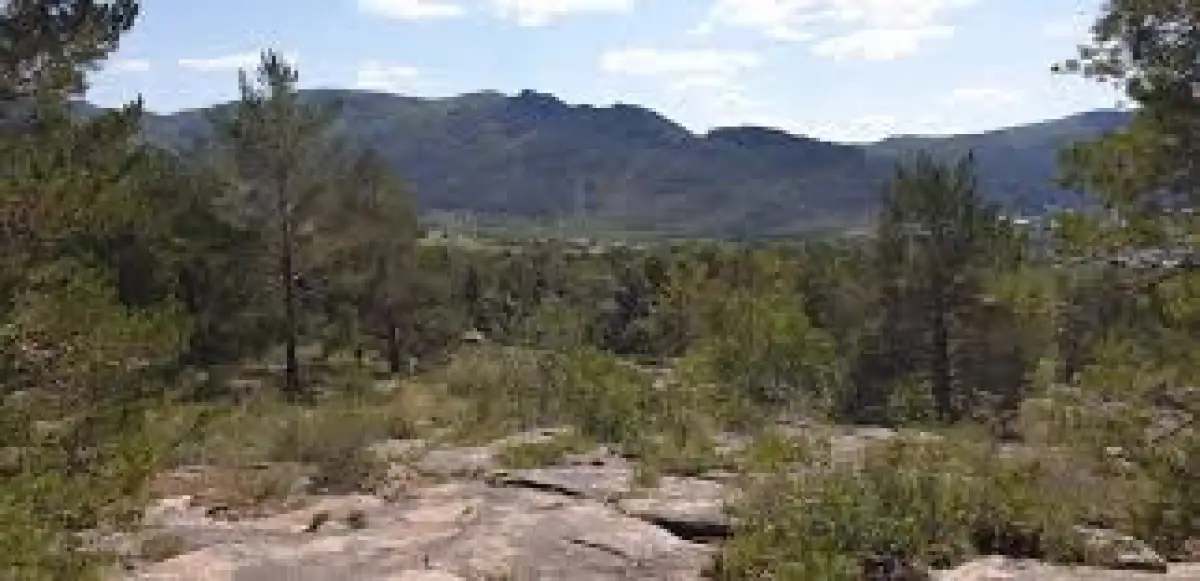 В Баянауле потушили загоревшийся сухостой