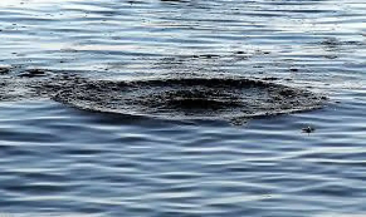 На реке Иртыш утонул капитан судна