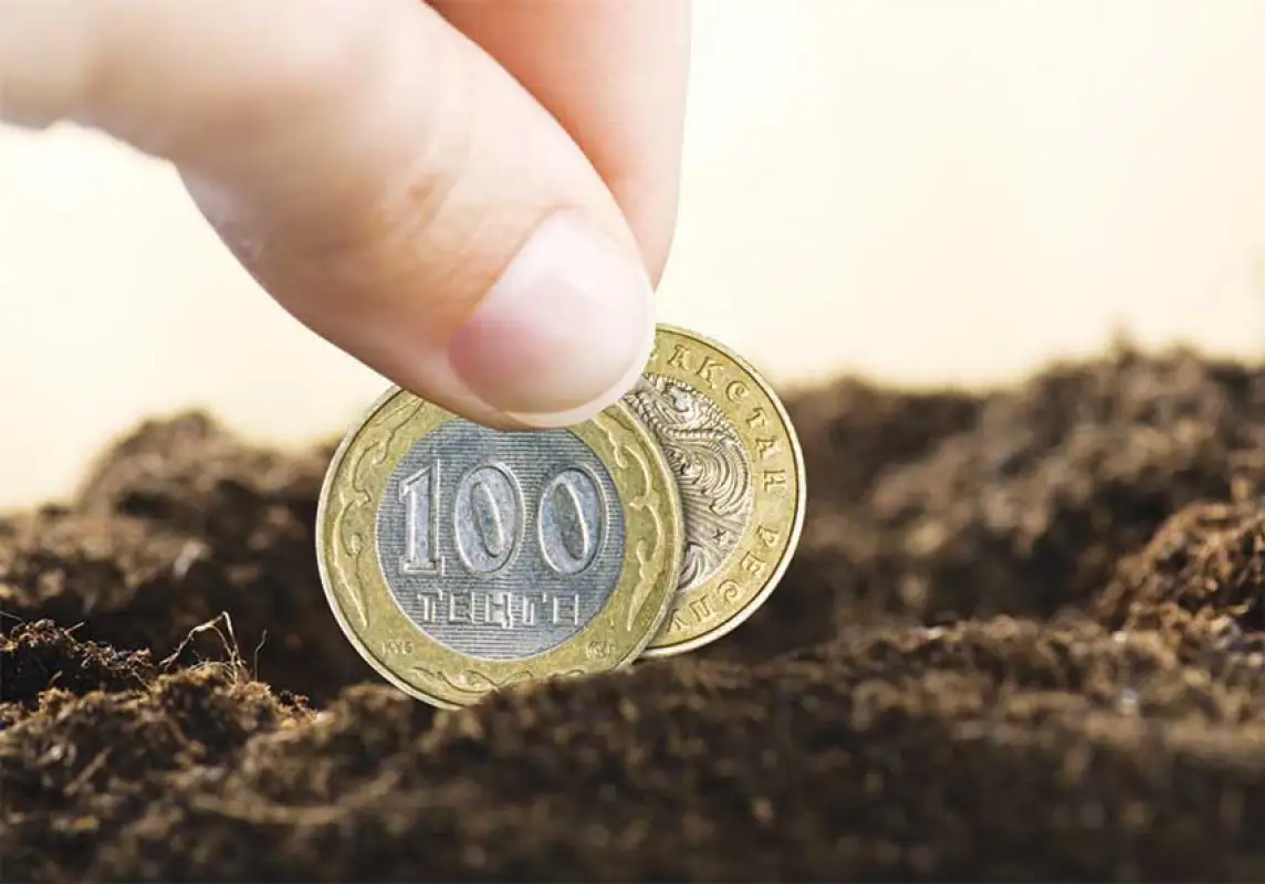 В Казахстане могут увеличить налог на неиспользуемые земли сельхозназначения