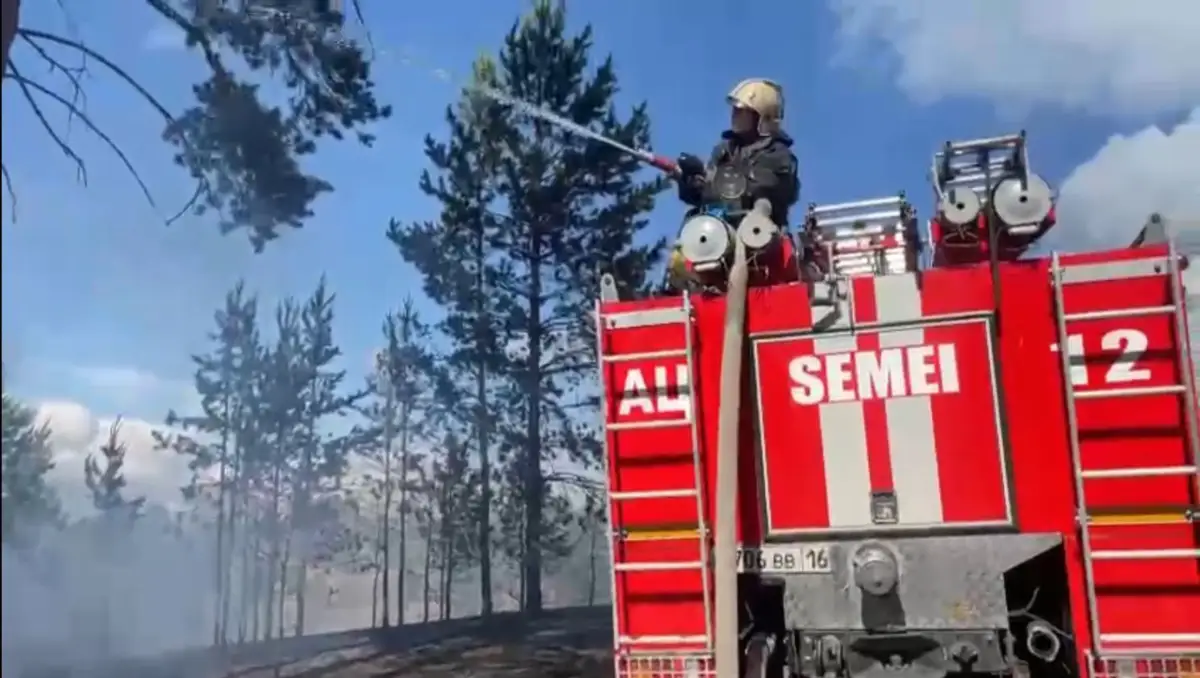 Пожар в «Семей орманы» уничтожил 250 га леса