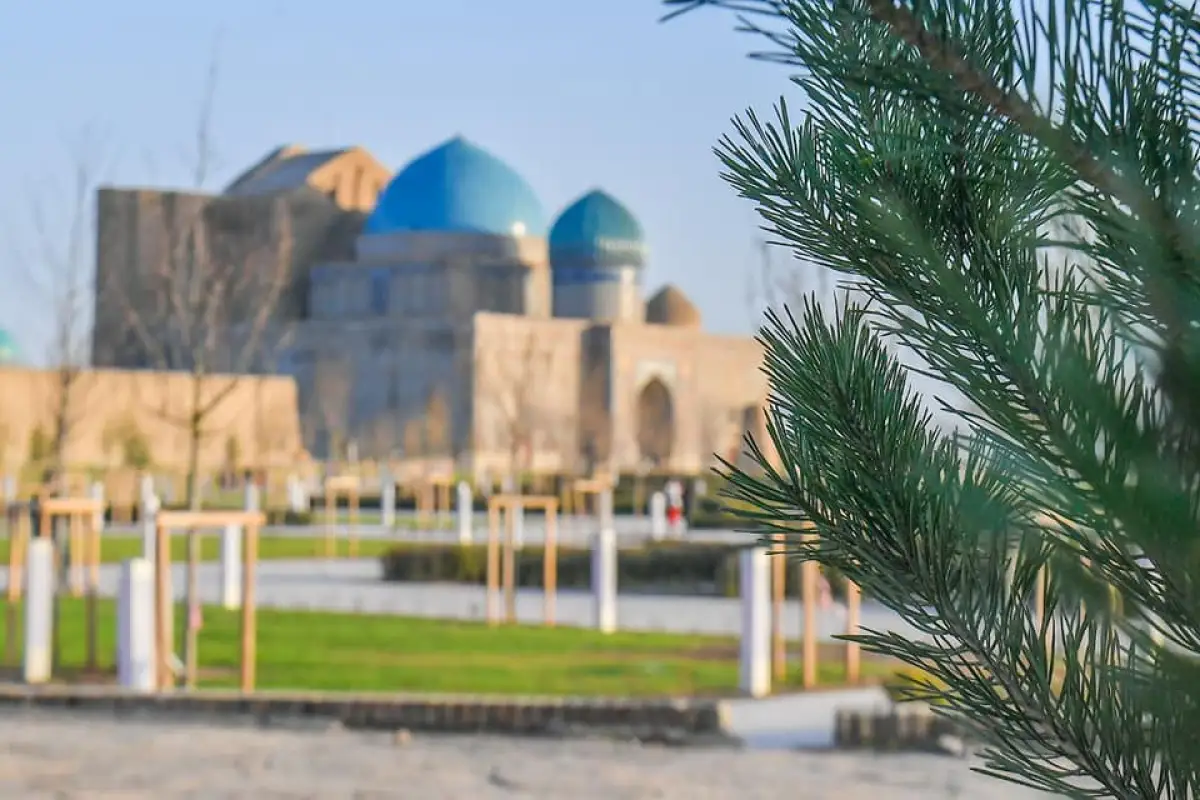 Всего две области Казахстана остались в «зеленой» зоне по темпам коронавируса