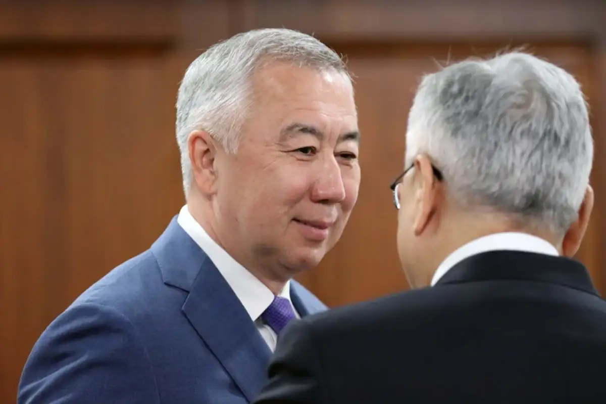 «Кто-то меня даже назвал «отцом налоговой реформы» - вице-премьер Жумангарин