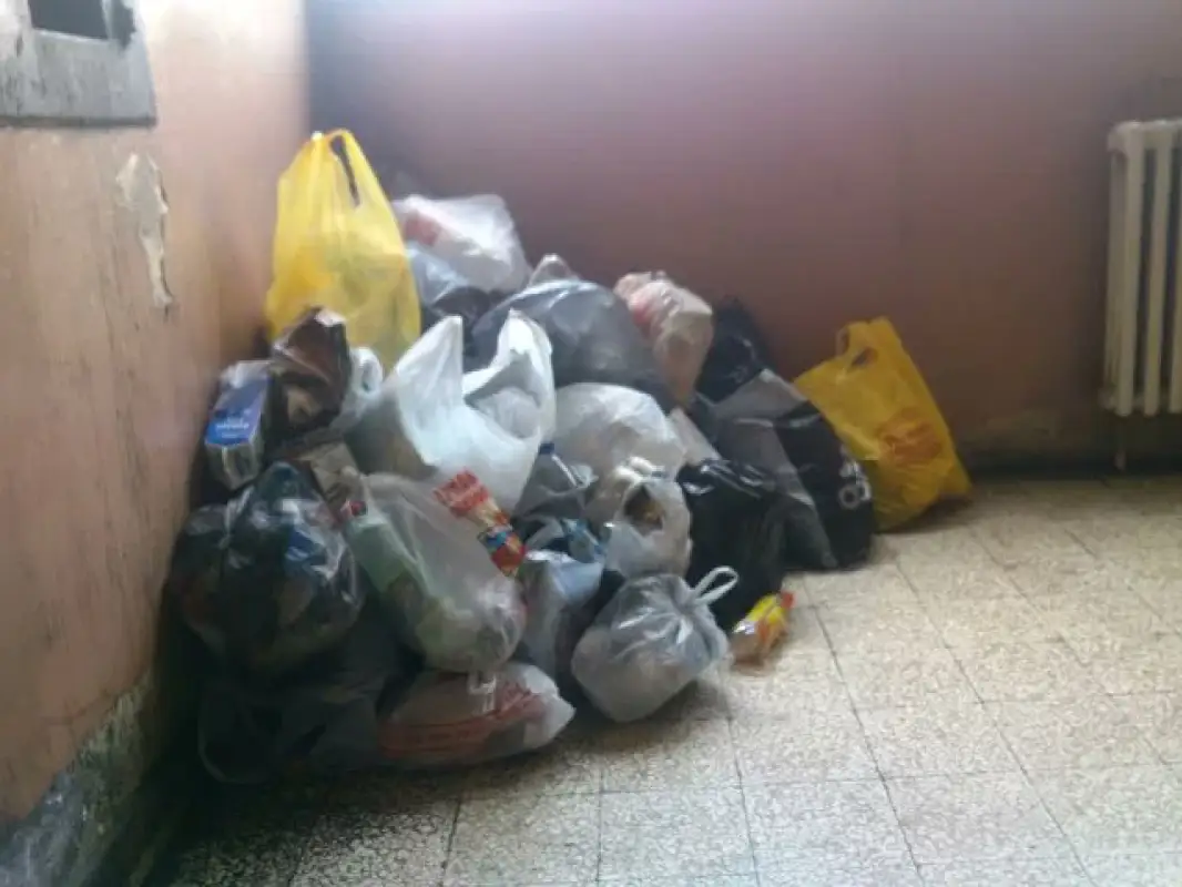 Токаев: "Если кто-то приехал из села, пусть научится работать со своими отходами"