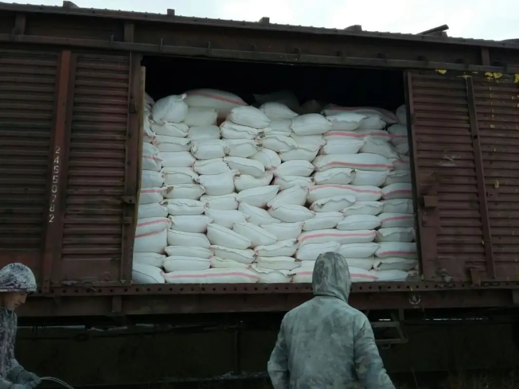 Казахстан поставит Кыргызстану муку и семена в качестве гуманитарной помощи