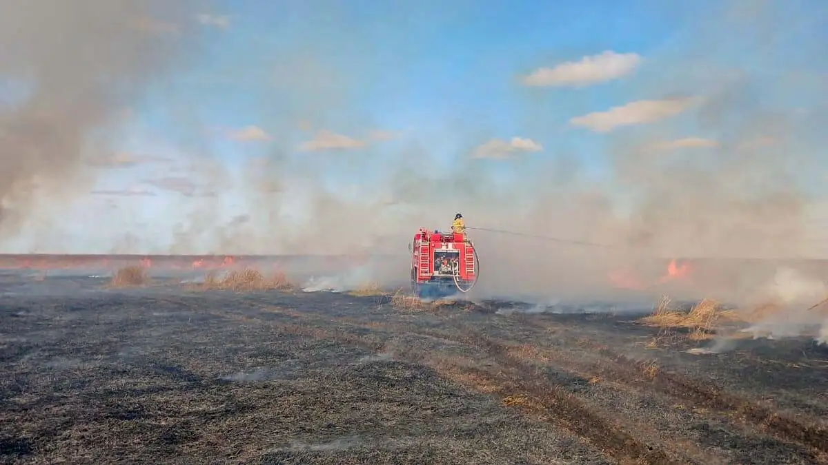 Пожарные потушили горевший камыш