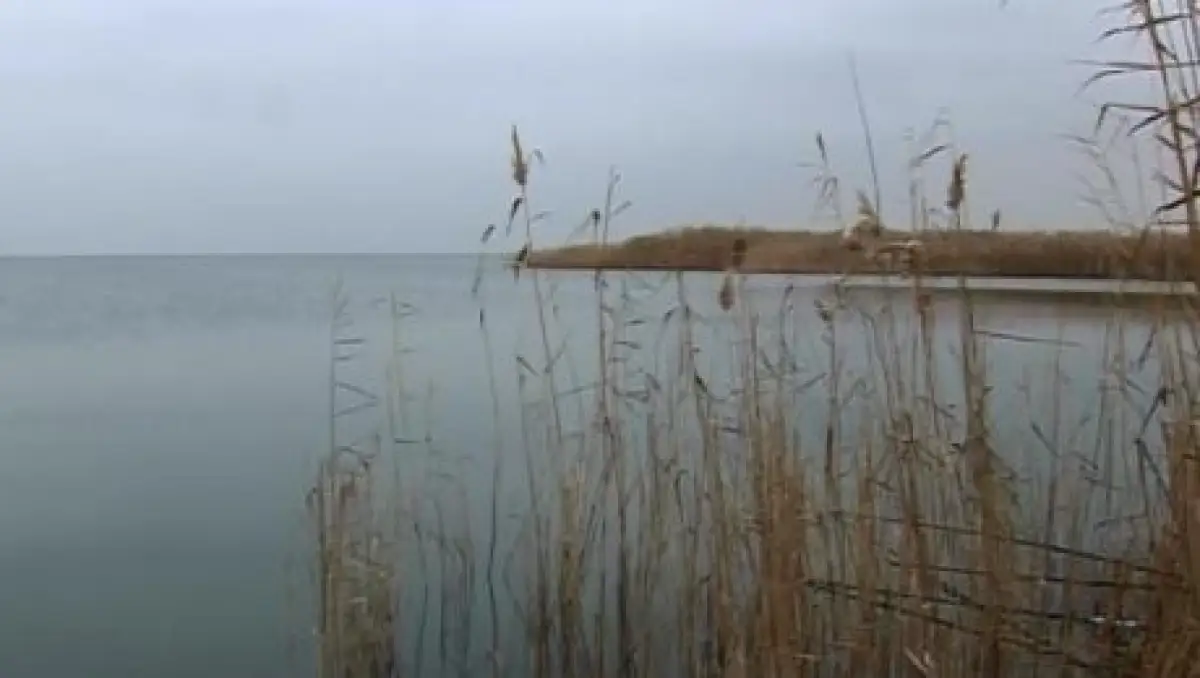 Токаев поддержал экологов и поручил перепроверить ситуацию вокруг озера Былкылдак