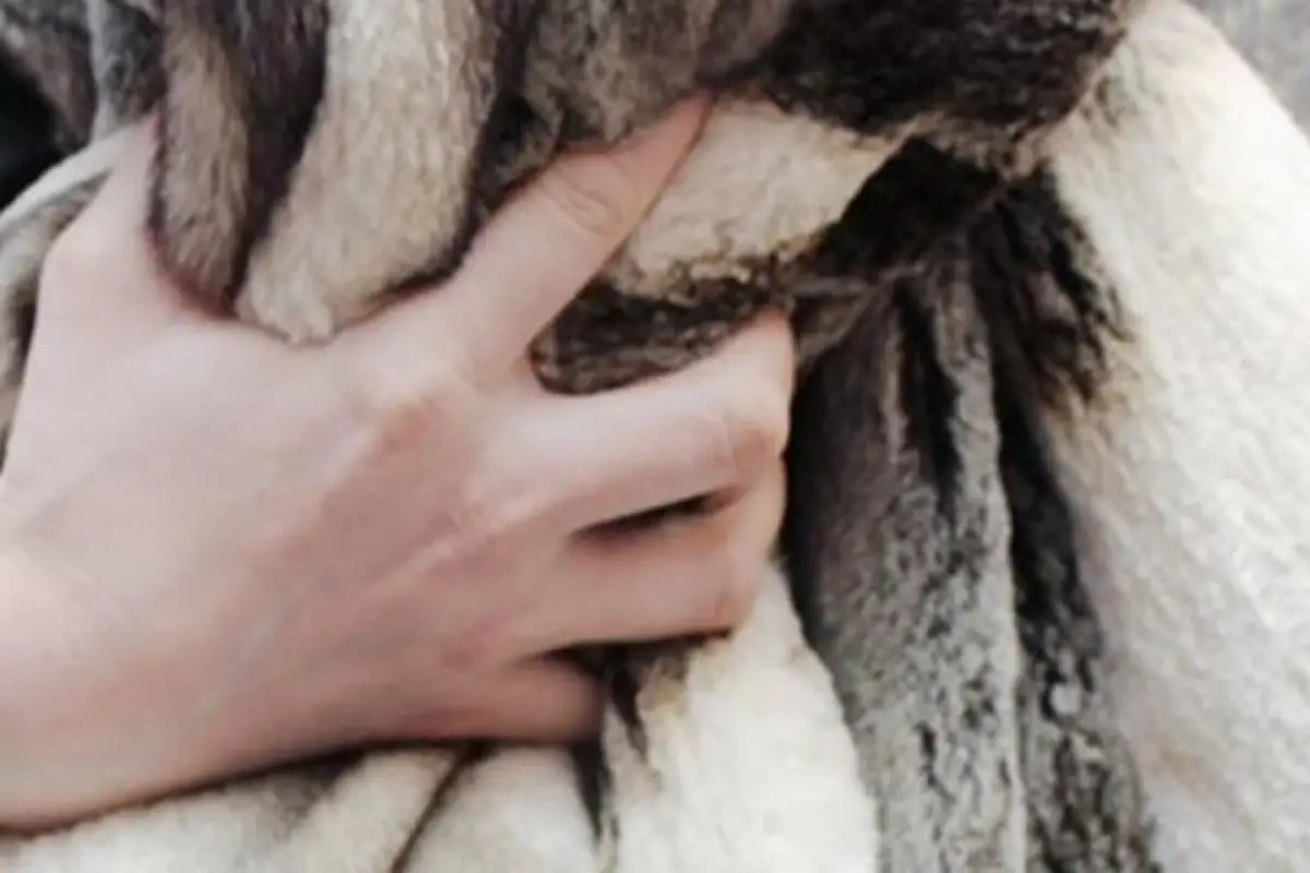 Студентку подозревают в краже чужих шуб