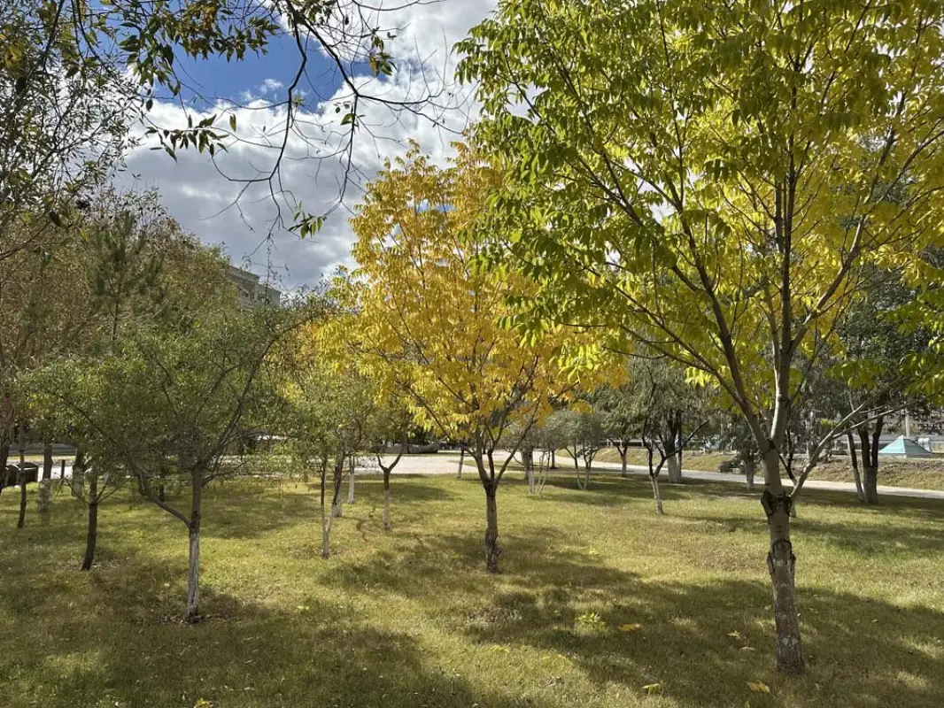 Казгидромет сообщил о погоде на три дня в Астане, Алматы, Шымкенте