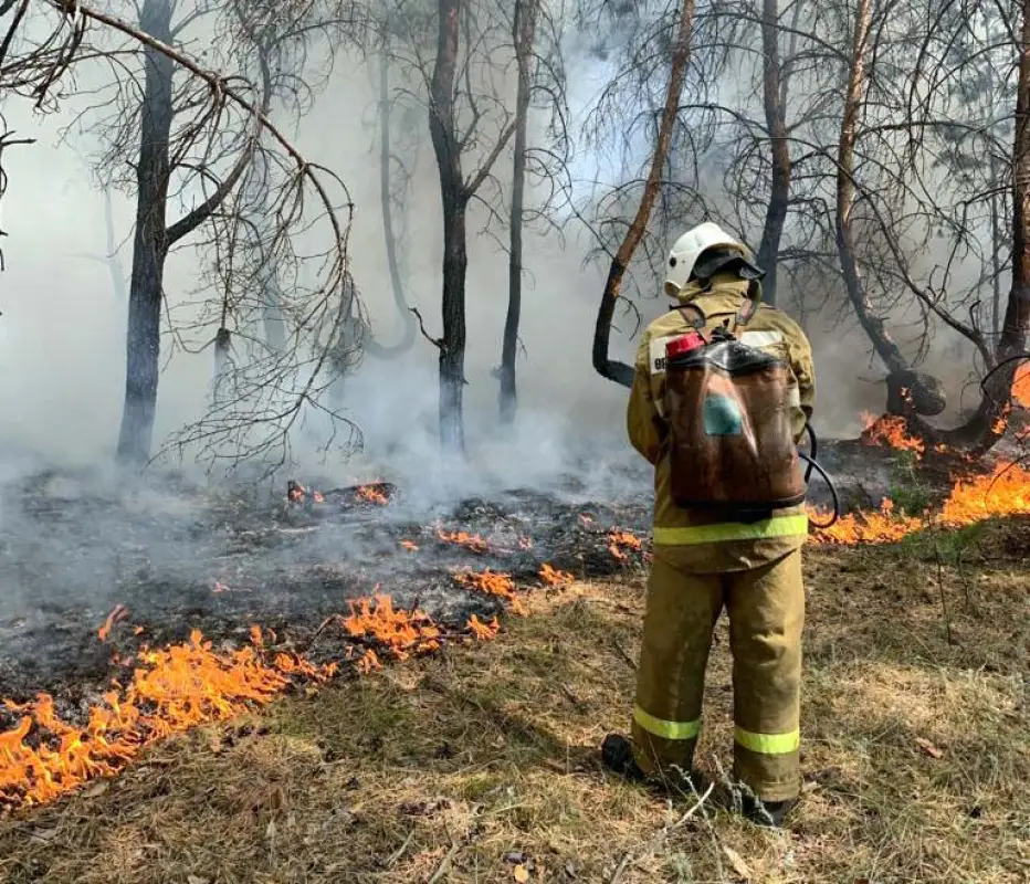 Пожары в Костанайской области: следствие рассматривает неприродный фактор – МЧС