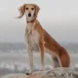 Новый праздник утвердили в Казахстане