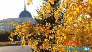 Что произойдет в Казахстане с 1 сентября