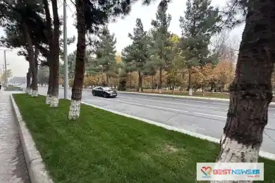 Ташкент показал всё свое "золото"