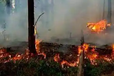 МЧС прогнозировал засуху, дефицит осадков, повышение температуры до +40 градусов и пожары