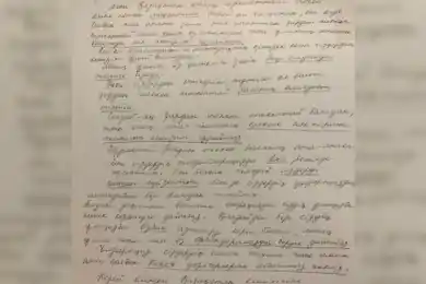 Мать казахстанца, сбившего ребенка в Корее, попросила прощения 