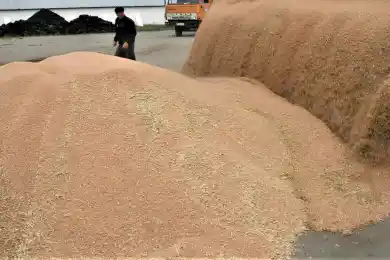 На каком уровне Казахстан ведет переговоры об отмене запрета на ввоз зерна в Россию