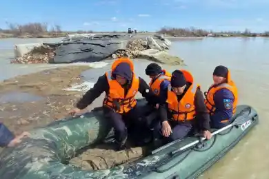 Техника и товары в Госматрезервы новые и современные – Ормагамбетов