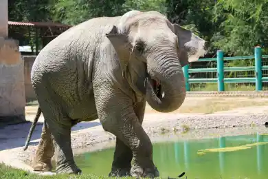 Даты, события и дни рождения знаменитостей на 20 июня