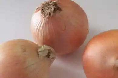 «Всплески»: глава МСХ Карашукеев объяснил рост цен на лук в Астане